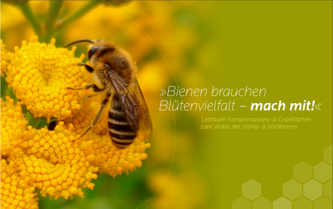 Titelseite des Leitfadens "Bienen brauchen Blütenvielfalt"